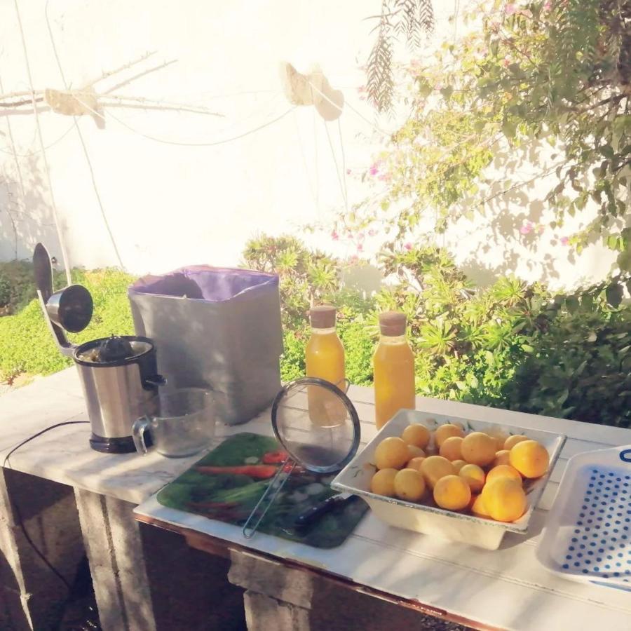 Casa Mimosa Bed & Breakfast Sao Bras de Alportel Exterior photo